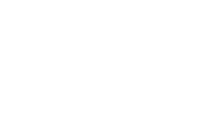 LOGO STADE LAVALLOIS